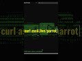 2 Hidden Terminal Tricks Using curl 🤯 | Nyan Cat & Parrot in CMD / Linux (No Software Needed!)