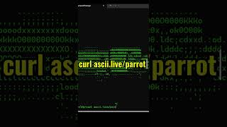 2 Hidden Terminal Tricks Using curl 🤯 | Nyan Cat & Parrot in CMD / Linux (No Software Needed!)