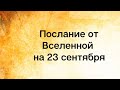 Волшебное послание на 23 сентября. Усилия.