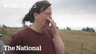 Download Lagu N.L. residents call for help to ‘save what’s left’ of north shore MP3 Download Lagu N.L. residents call for help to ‘save what’s left’ of north shore MP3