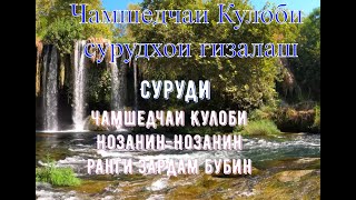 Чамшедчаи Кулоби се суруди гизалаш