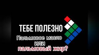 Тебе полезно: Пальмовое масло или пальмовый жир?