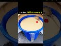 いったい、何匹までいける？