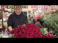 【バラの花束】クリスマスに108本の赤バラの花束！＃361