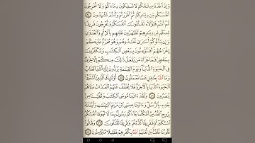 ماهر المعيقلي سورة البقرة مكتوبة صفحة 13 مصحف المدينة المنورة جودة عالية