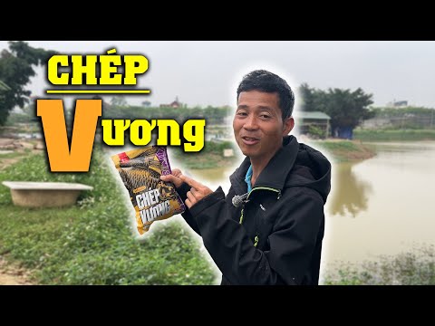 Bài Mồi Câu Chép Đơn Giản, Quấn Ổ Mạnh | VIETNAM FISHING TV