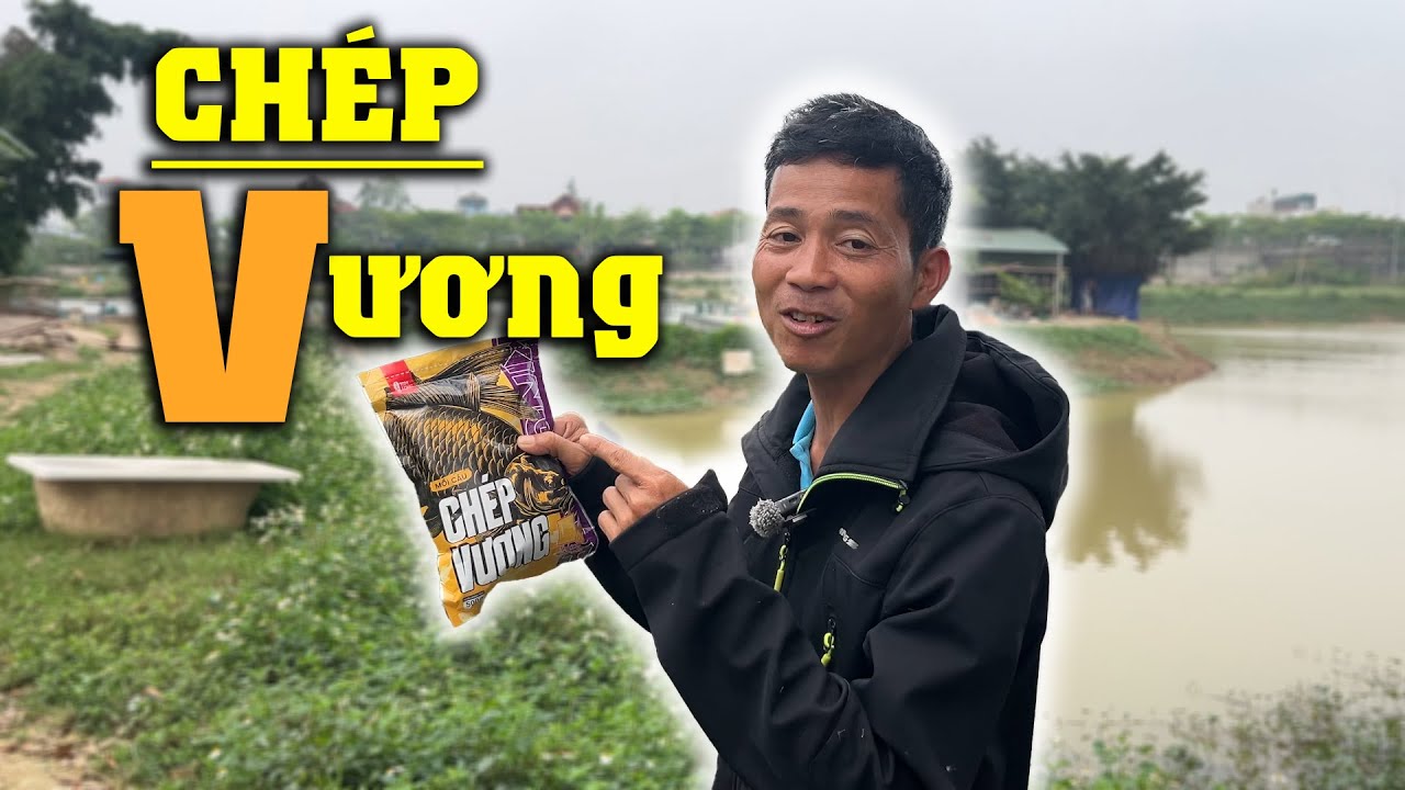 Bài Mồi Câu Chép Đơn Giản, Quấn Ổ Mạnh | VIETNAM FISHING TV