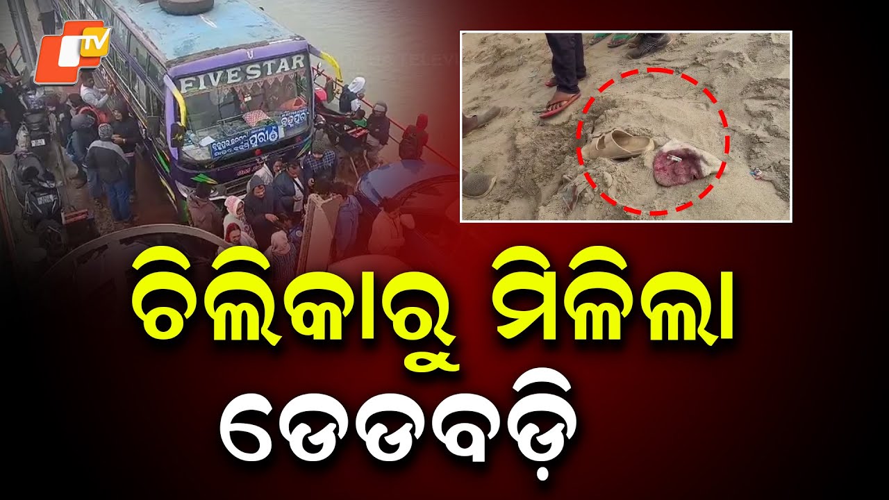 New Year Trip Turns Tragic: Man Drowns in Chilika After Boat Stranded in Fog