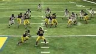 421A0001 0 FLV VIDEO jgn