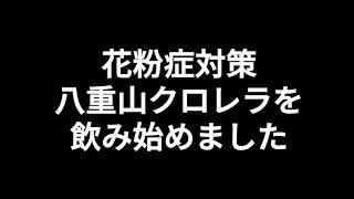 効果あるか分かりませんが花粉症対策に八重山クロレラを飲み始めまし