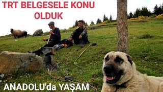 ANADOLU'DA YAŞAM || TRT BELGESEL BİZİ FİLM YAPTI BİZ DE ONLARI 🎬😎