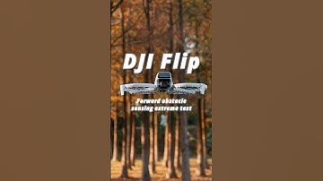 DJI Flip obstacle avoidance test, 5 intense rounds 🛑 Can its 3D Infrared Sensing System keep up?