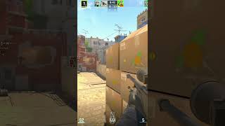 They just ran to my scope  #cs2