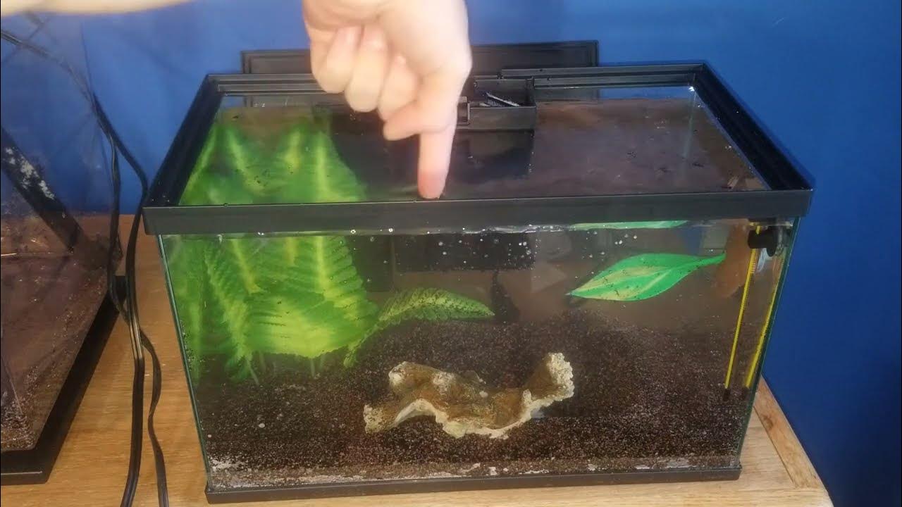 Top Fin All In One Betta Tank Setup 