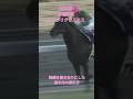 【有馬記念 2003】『名馬のラストラン集』 「驚愕の9馬身差圧勝」シンボリクリスエス #競馬 #ラストラン #シンボリクリスエス #有馬記念 #shorts