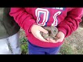 Videos curiosos y momentos poco gloriosos