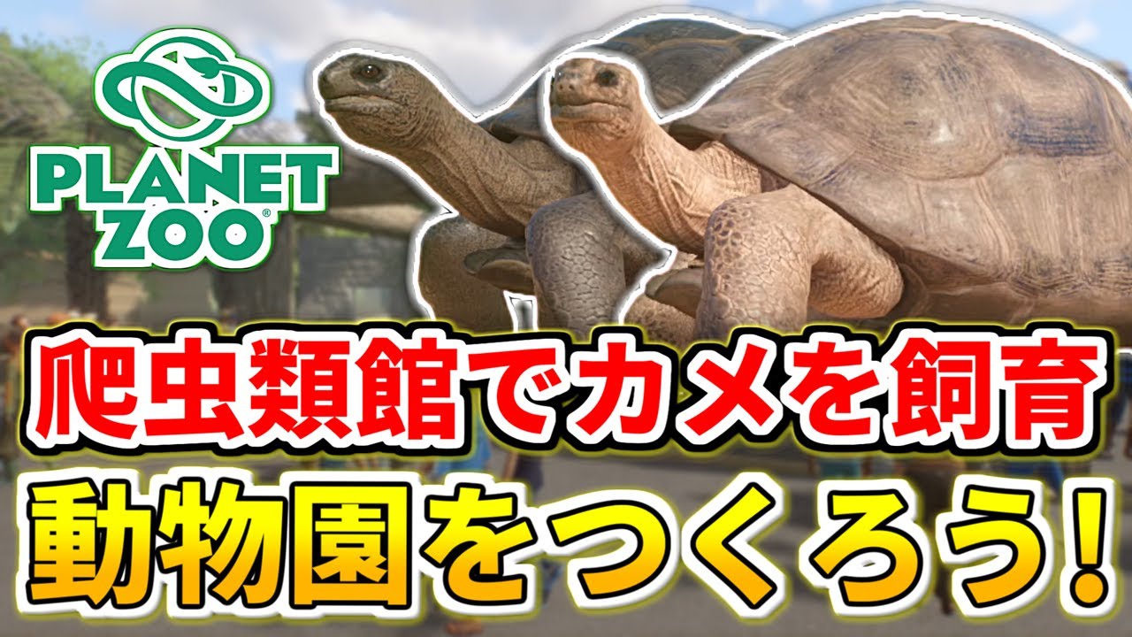Planet Zoo】爬虫類館でアルダブラゾウガメを飼育します【プラネット