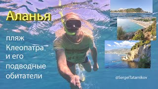4K The underwater world of the Mediterranean Sea off the coast in Alanya.