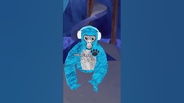 #gorillatag #gtag #oculusquest2 #oculus #vr #virtualreality