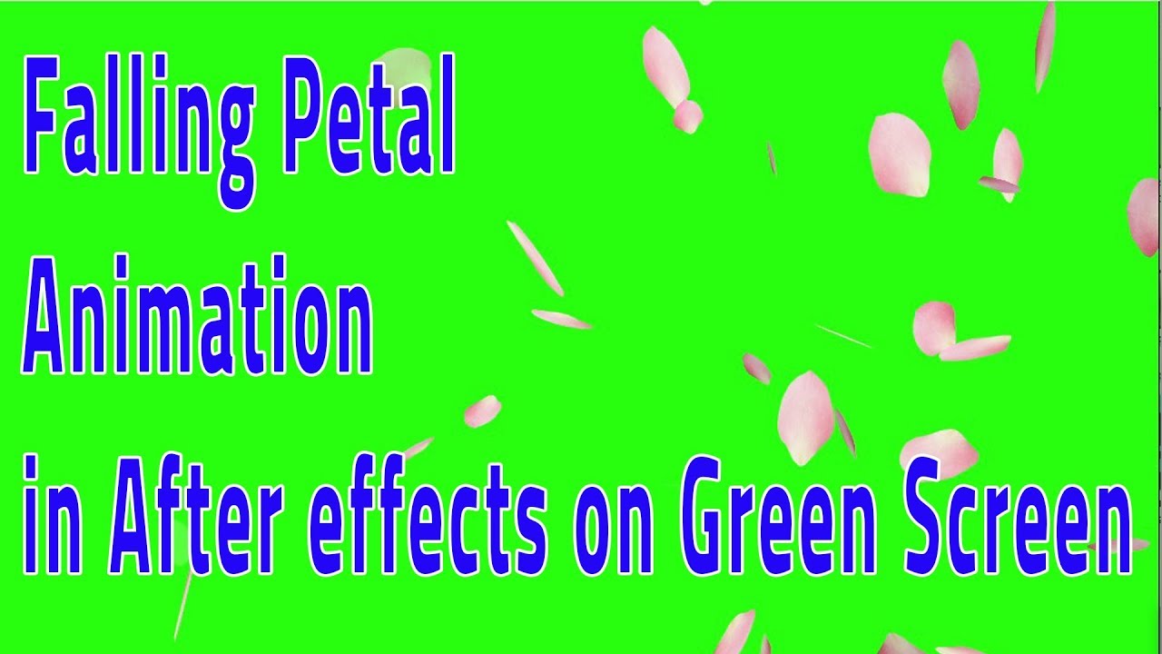 Falling Petal Animation Tutorial in after effects with No plugin YouTube