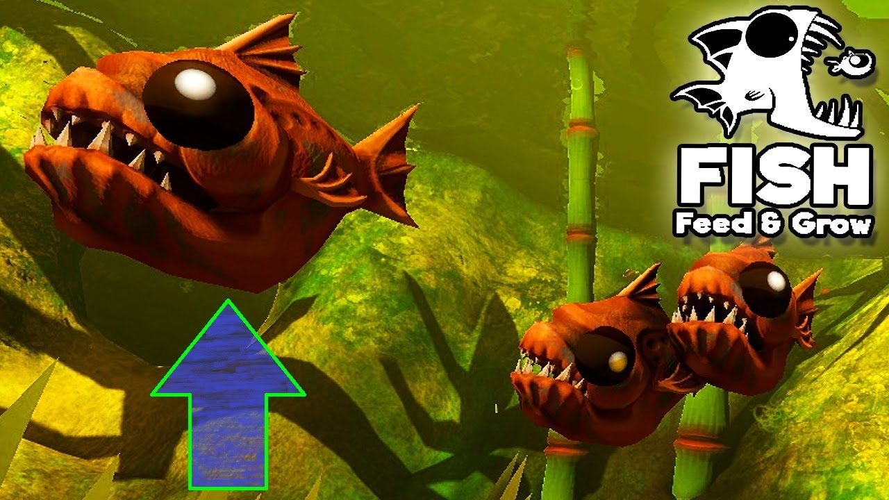 Фит гроу. Фид энд Гроу Фиш. Игра Feed and grow Fish. Feed and grow Fish последняя версия. Fish Feed and grow Fish.