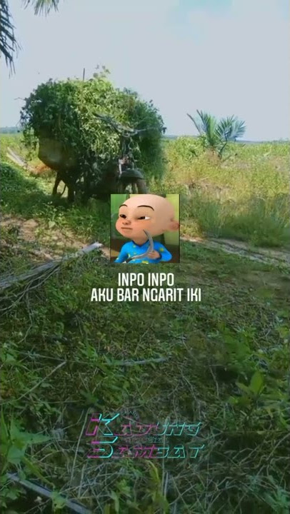 STORY WA NGARIT TERBARU 2022 ll Inpo inpo
