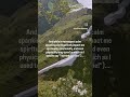 "The Rod Verses In Context" FREE PDF at www.payhip.com/TheRodReconsidered