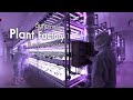 Plant factory biotecnstda