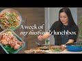 a week of husband’s lunchbox ep. 4 🍱 * easy home-cooked recipes*