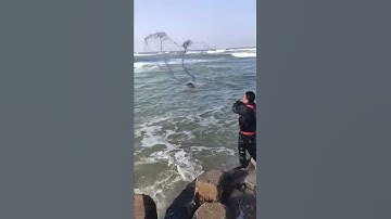 Best Cast Net Fishing Video  The Most Catch Fishing With net 5