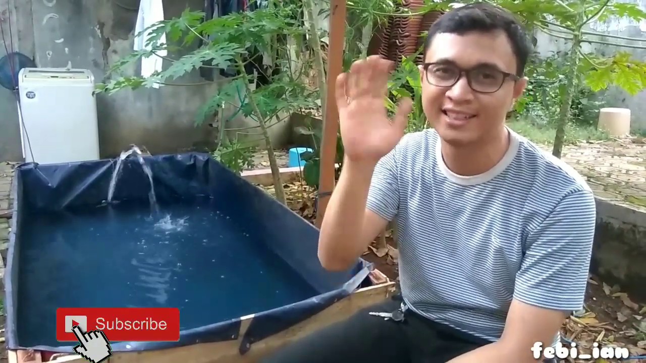 Buat Kolam Terpal Budidaya Ikan Nila Di Teras Rumah Iseng Iseng YouTube