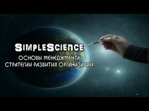 Основы менеджмента. Стратегии развития организации.