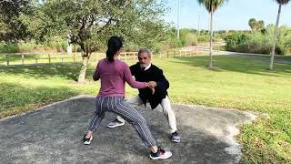 Tai Chi with Sifu Oji  - Snake creeps