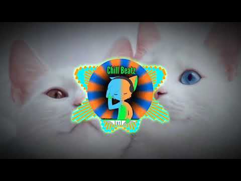 ashworth---cat-remix-(meow-meme-song)