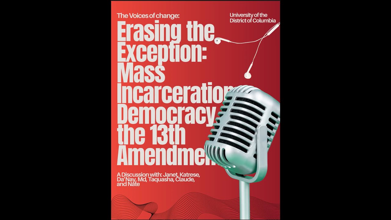 Erasing the Exception: Mass Incarceration, Democracy, and the 13th ...