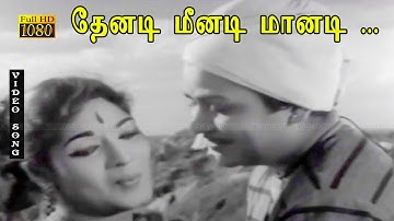 தேனடி மீனடி மானடி நீயடி காதல் பாடல் HD | கல்யாண் குமார், தேவிகா இனிமையான காதல் பாடல் .