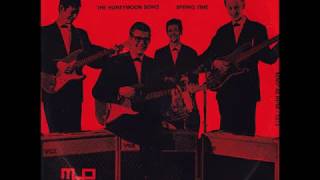 Video thumbnail of "The Ricochets - The Honeymoon Song (1963)"