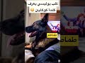 كليب بوليسي يعرف كلمة كوكايين