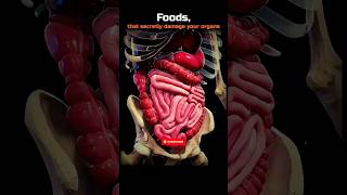 Foods That Secretly Damage Your Organs💀🤯 #Shorts #Science #Biology #Anatomy #HumanBody #ScienceFacts