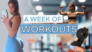WEEK OF WORKOUTS