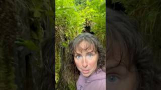Secret underground tunnel in magical Cornwall, Halliggye Fogou