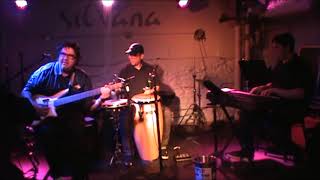 Mango Jam Perform Summer Samba Live Silvanas