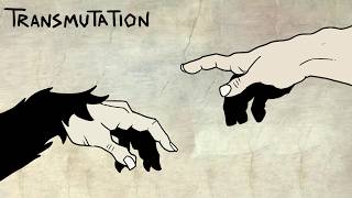 TRANSMUTATION | How we Discovered Evolution