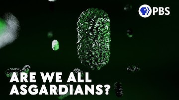 Are We All Actually Archaea?
