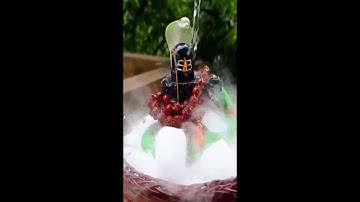 Mhadev Status ❣️ Kedarnath Status 🔱 Bholenath Status Video 💫 #shorts​