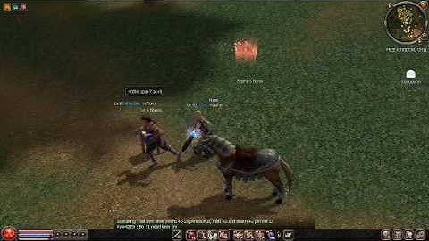 Metin2 US - Random Fun 42