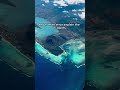 The Mystery of the Bermuda Triangle 🌊(Amazing facts)#viral #facts #science #shorts #sea