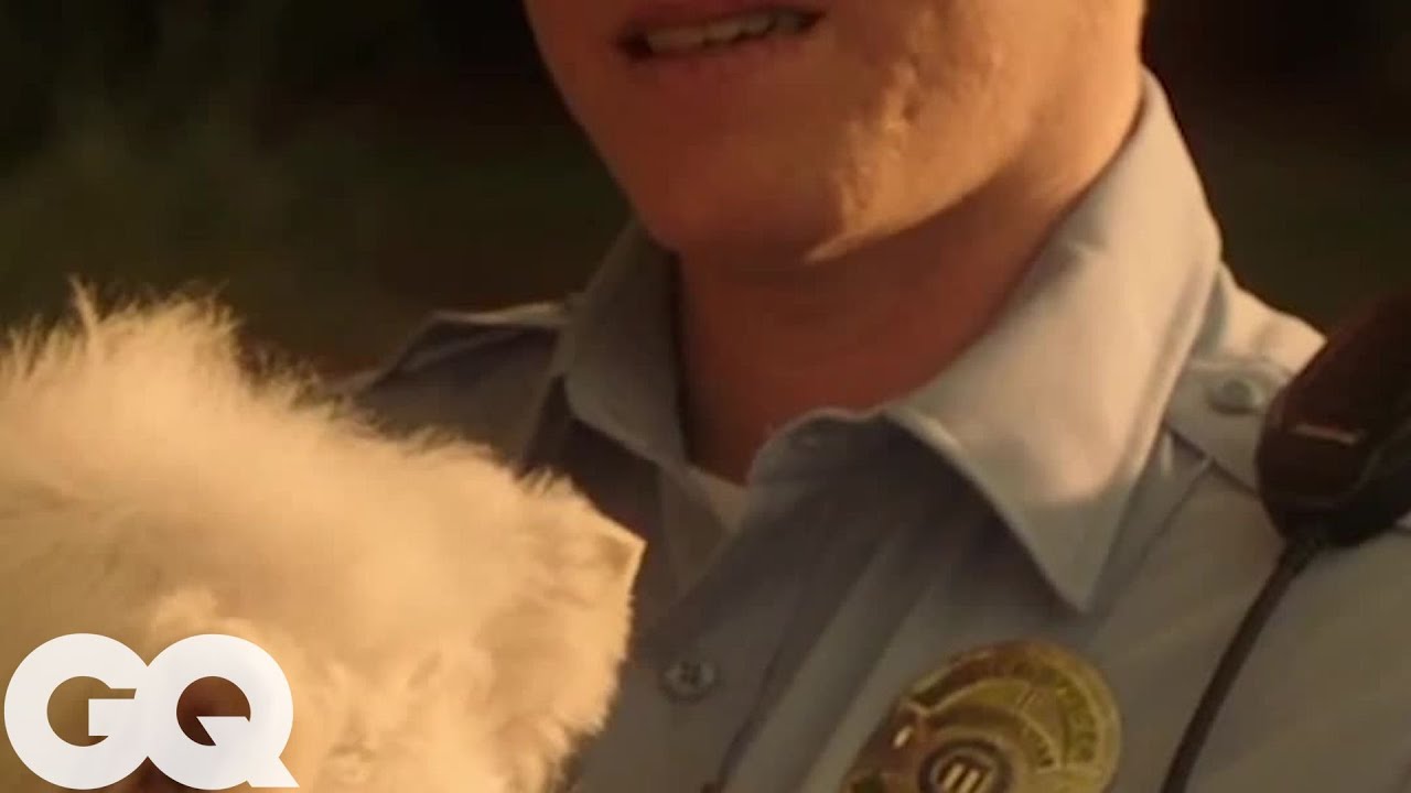 3 Bags of Tostitos Scoops