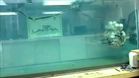 PD and nonlinear adaptive control of Triton underwater vehicle