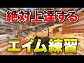 【APEX LEGENDS】絶対に上達する！AIM練習方法！！【エーペックスレジェンズ】